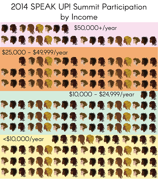 summit participation by income